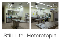 Still Life: Heterotopia