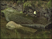 The headstone in the Annalong river