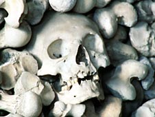Human skulls