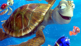 Finding Nemo, seen in The Salton Sea - not a pain in the ass, honest!