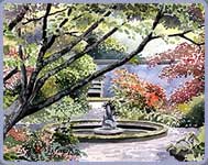 Molly's Garden - Series 3