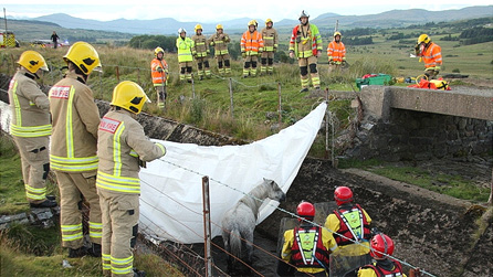 Rescuing a wild pony requires plenty of man power.