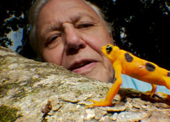 David Attenborough with a morpho butterfly © BBC/Mark Carwardine