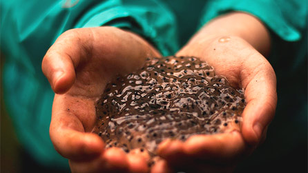 Frog spawn by Angela Roberts.