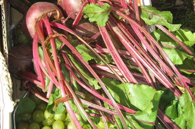 Beetroot and gooseberries