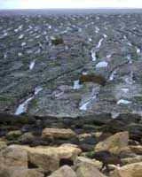 The Wash coastline, England