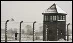 Birkenhau Concentration Camp
