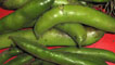 Broad beans
