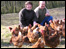 Owners of free range chickens at Cader Idris Poultry Farm in Wrotham