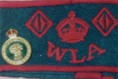 WLA armband