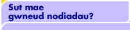 Sut mae gwneud nodiadau?