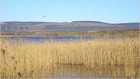 Kenfig Reserve c/o Bridgend Tourism