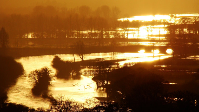 Flooding on the Towy by Huw Benyon