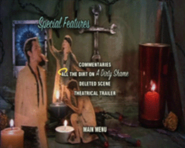 A Dirty Shame DVD