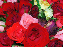 Roses