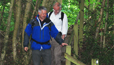 steps from the woods