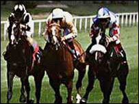 Horse Racing