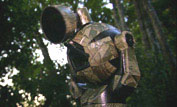 A remote camouflaged camera