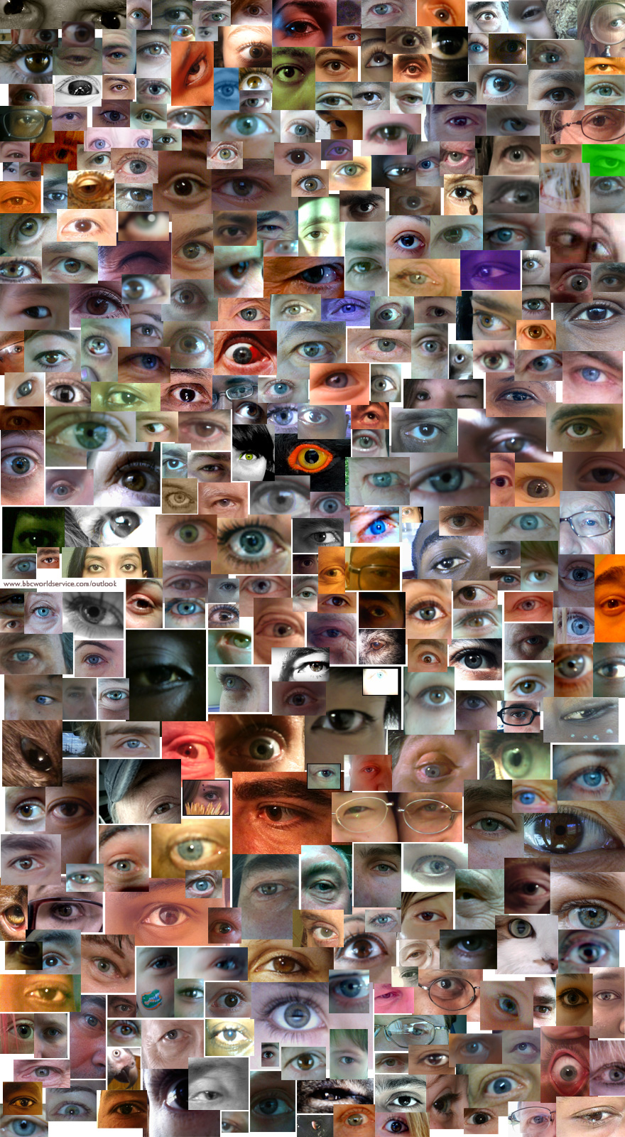 Montage of eyes, snapped on mobile phones by Outlook listeners.