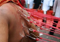 Hooks attached to the skin of a worshipper's back