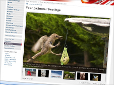 Your pictures of the week