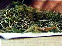 大麻