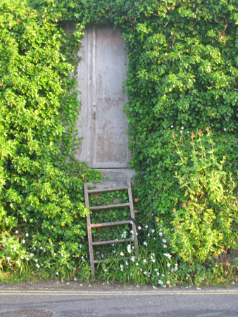 Door in St Ives