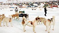 Bruce Parry (right) learns to drive an Inuit dog team