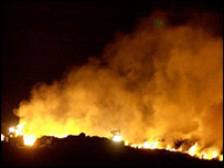 Foot and Mouth image