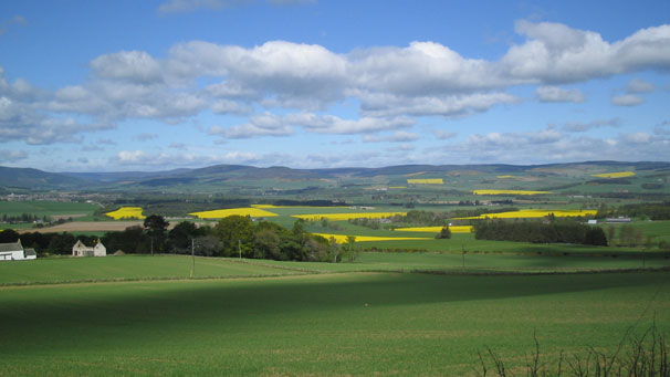 Whitehouse near Alford, Aberdeenshire