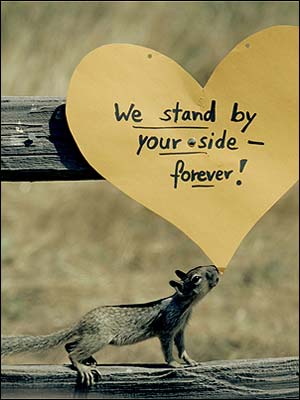 ابراز حمايت از مايکل جکسون