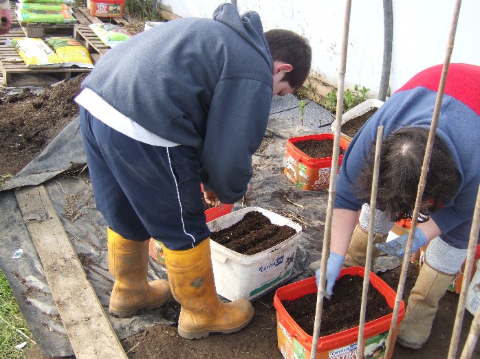 Planting the seeds