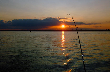 Fishing on the Stour