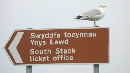 gull_sign.jpg