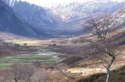 Alladale Estate, Sutherland