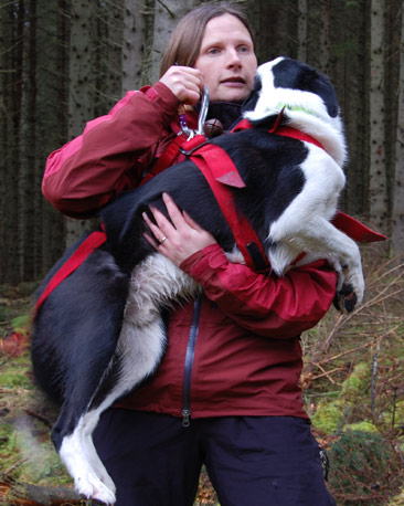 Handler and dog demonstrate helicopter winch technique