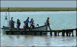 Havergate arrival by Stephen Dean