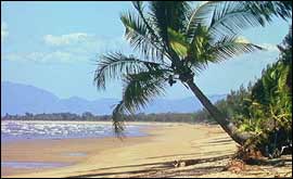 Beach in Queensland