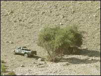 وانا