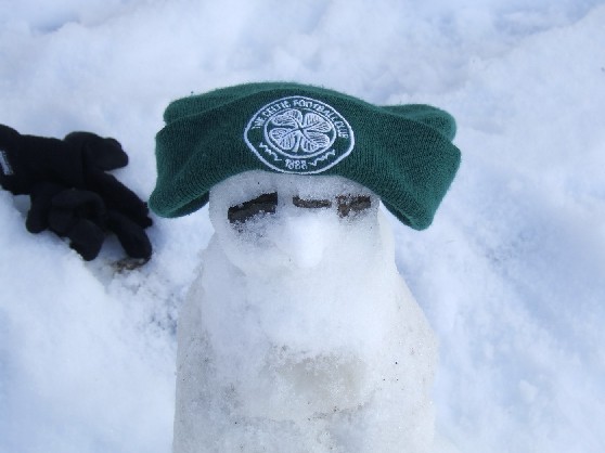 Celtic Fan