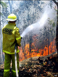 Fighting_forest_fire
