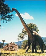 Picture: Brachiosaurus