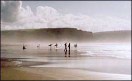 Beach Life by Sharon Neale