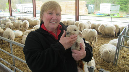 Blog Hywel Gwynfryn - Llanddwyn