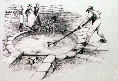 Sheepwash Pool, Little Cheverell