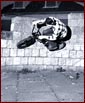 Curved wallride
