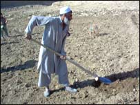 دهقان