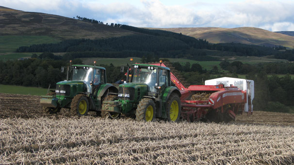 machinery harvesting potatoes (courtesy of Sally Scrimgeour)