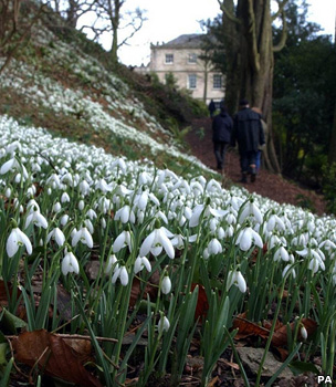 Snowdrops at Newark House (Image: PA)
