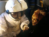 Star Cops